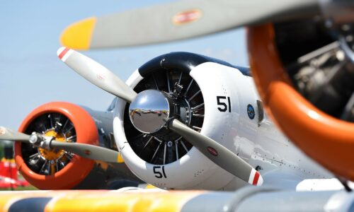 Planes lined up at the annual SUN 'n FUN Aerospace Expo in Lakeland, FL