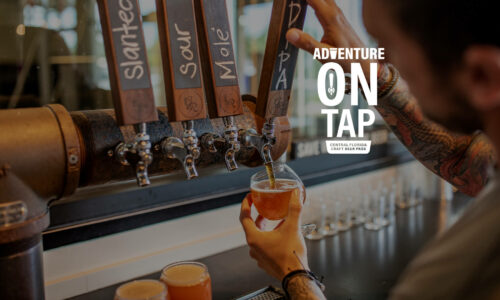 Adventure on Tap