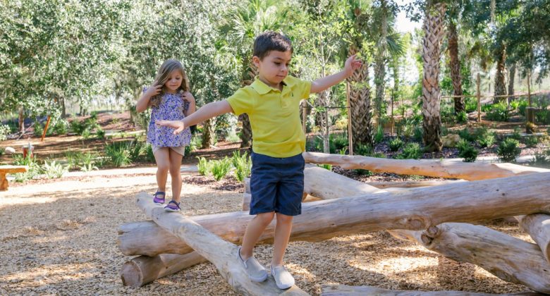 Hammock Hollow Children's Garden