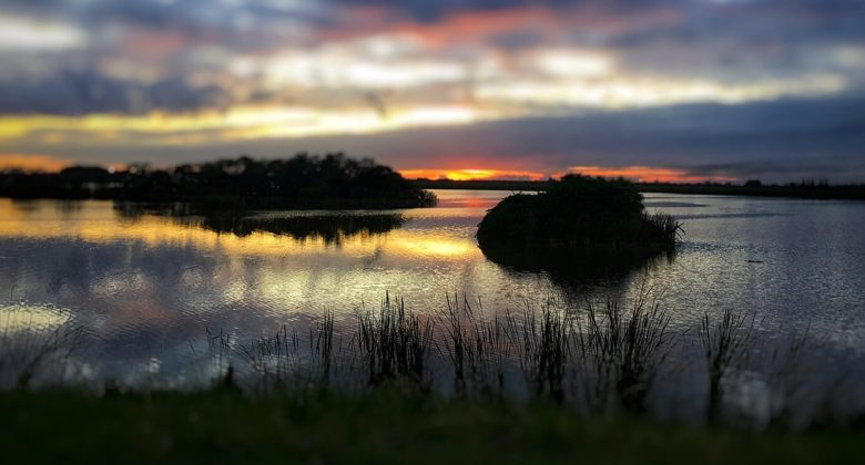 Cell 5 At Se7En Wetlands Park Lakeland 2019