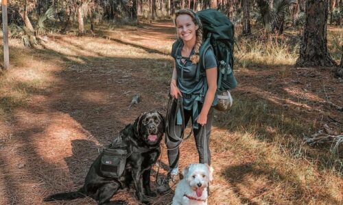 Two dogs and owner hiking at lake kissimmee state park