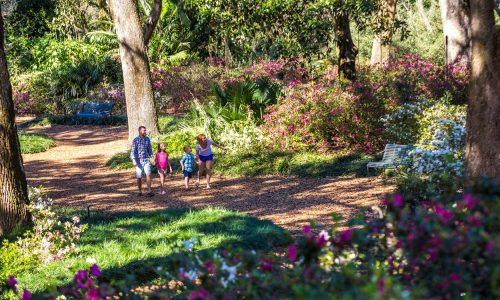 Bok Tower Gardens #3 in USA Today’s 10 Best Gardens List