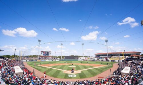 Publix Field view